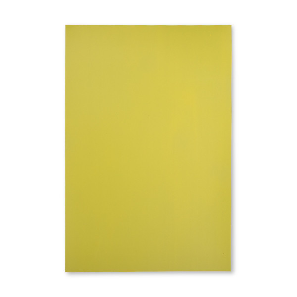 123inkt 123encre feuille magnétique (20 x 30 cm) - jaune/vert 6526115C 301645 - 1