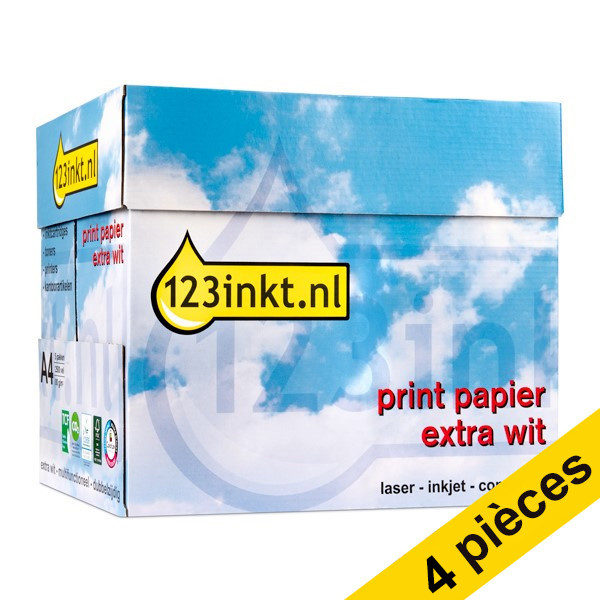 Papier blanc - A4 (210 x 297 mm) - 80 g/m² - 2500 feuilles (carton
