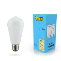 123inkt 123led ampoule LED E27 Edison mate dimmable 7W (60W)  LDR02116