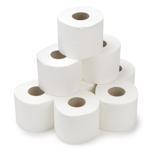Distributeur papier toilette katrin double rouleaux