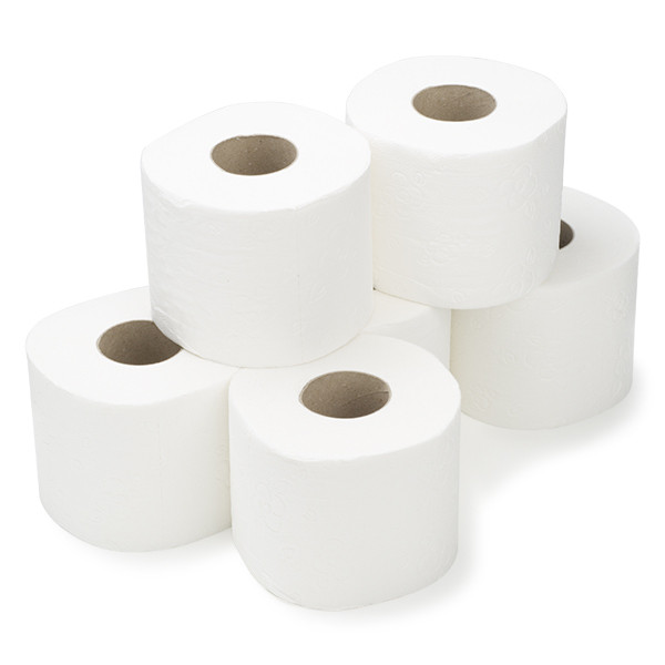 123schoon papier toilette Maxi Jumbo 2 couches 6 rouleaux adapté au distributeur Tork T1 120272C 440 SDR02007 - 1