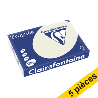 Offre : 5x Clairefontaine papier couleur 120 g/m² A4 (250 feuilles) - gris perle