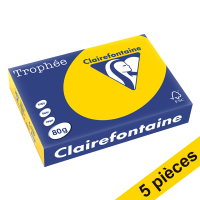 Offre : 5x Clairefontaine papier couleur 80 g/m² A4 (500 feuilles) - bouton d'or