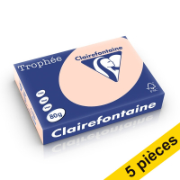 Offre : 5x Clairefontaine papier couleur 80 g/m² A4 (500 feuilles) - saumon