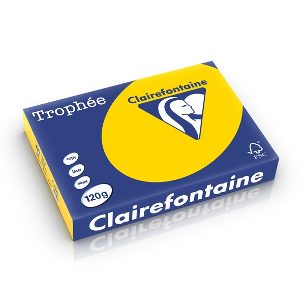 Clairefontaine papier couleur 120 g/m² A4 (250 feuilles) - bouton d'or 1206PC 250199 - 1
