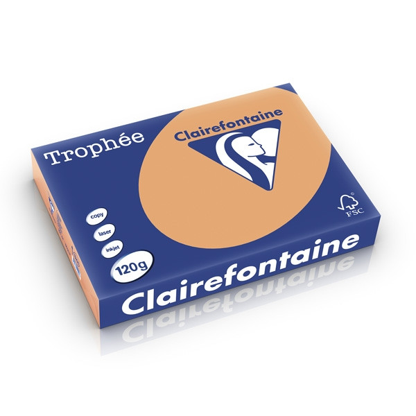 Clairefontaine papier couleur 120 g/m² A4 (250 feuilles) - caramel 1244PC 250196 - 1
