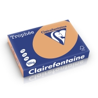 Clairefontaine papier couleur 120 g/m² A4 (250 feuilles) - caramel 1244PC 250196