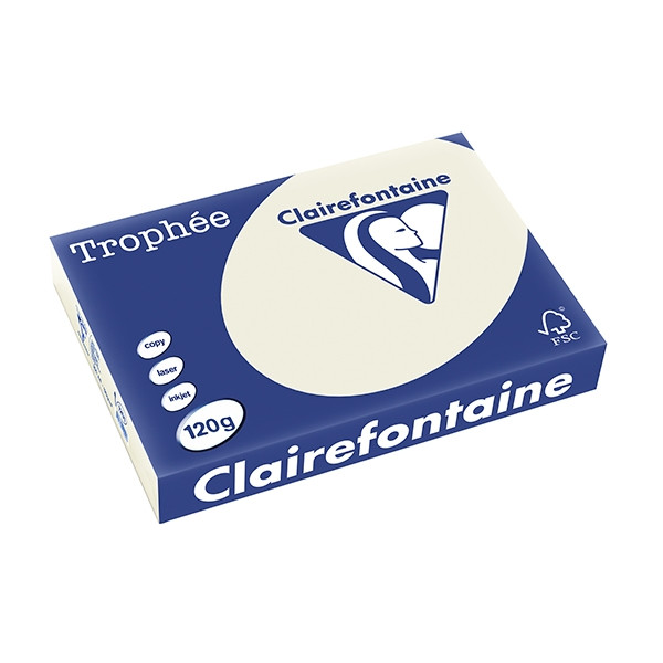Clairefontaine papier couleur 120 g/m² A4 (250 feuilles) - gris perle 1201PC 250070 - 1