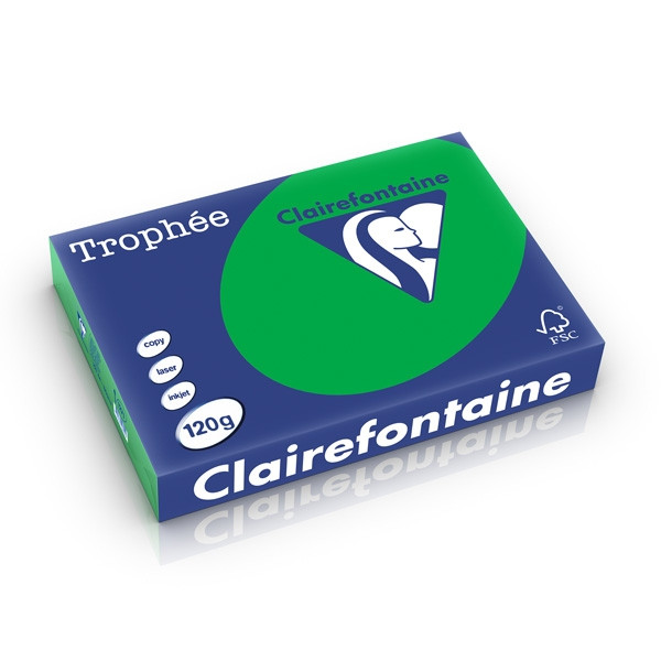 Clairefontaine papier couleur 120 g/m² A4 (250 feuilles) - vert billard 1271PC 250212 - 1