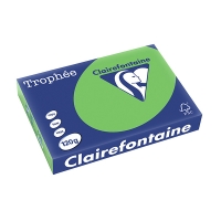 Clairefontaine papier couleur 120 g/m² A4 (250 feuilles) - vert menthe 1293PC 250085