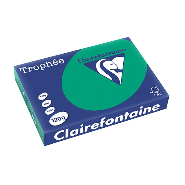 Clairefontaine papier couleur 120 g/m² A4 (250 feuilles) - vert sapin 1224PC 250086 - 1
