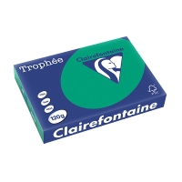 Clairefontaine papier couleur 120 g/m² A4 (250 feuilles) - vert sapin 1224PC 250086