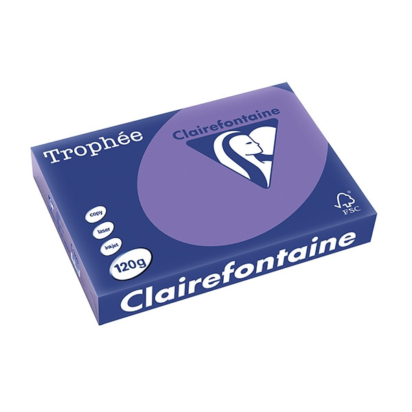 Clairefontaine papier couleur 120 g/m² A4 (250 feuilles) - violine 1220PC 250082 - 1