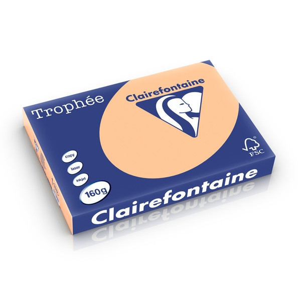 Clairefontaine papier couleur 160 g/m² A3 (250 feuilles) - abricot 1012PC 250270 - 1