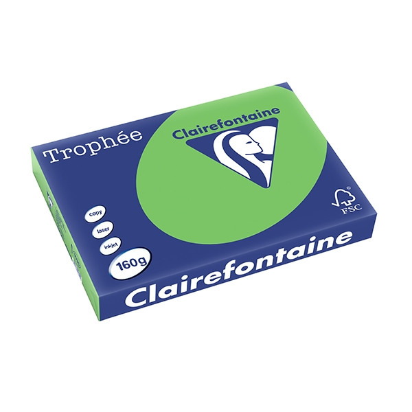 Clairefontaine papier couleur 160 g/m² A3 (250 feuilles) - vert menthe 1035PC 250159 - 1