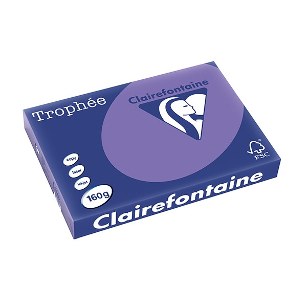 Clairefontaine papier couleur 160 g/m² A3 (250 feuilles) - violine 1047PC 250156 - 1
