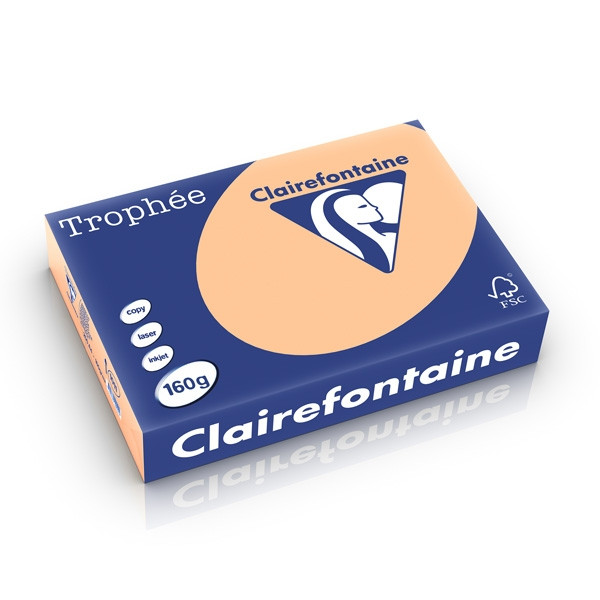Clairefontaine papier couleur 160 g/m² A4 (250 feuilles) - abricot 1011PC 250237 - 1
