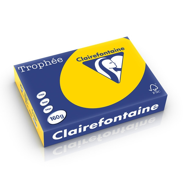 Clairefontaine papier couleur 160 g/m² A4 (250 feuilles) - bouton d'or 1103PC 250239 - 1