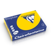 Clairefontaine papier couleur 160 g/m² A4 (250 feuilles) - bouton d'or 1103PC 250239
