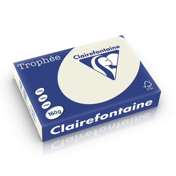 Clairefontaine papier couleur 160 g/m² A4 (250 feuilles) - gris perle 1041PC 250231 - 1