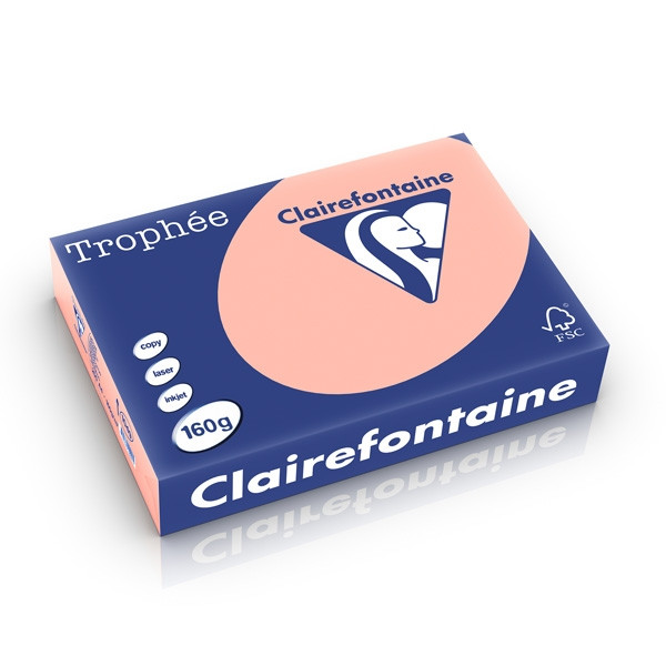 Clairefontaine papier couleur 160 g/m² A4 (250 feuilles) - pêche 1049PC 250238 - 1