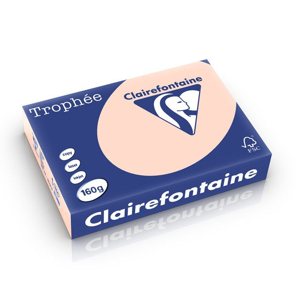 Clairefontaine papier couleur 160 g/m² A4 (250 feuilles) - saumon 1104PC 250242 - 1