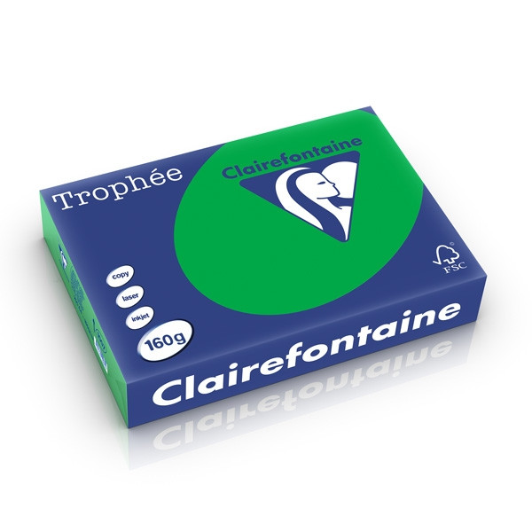 Clairefontaine papier couleur 160 g/m² A4 (250 feuilles) - vert billard 1007PC 250265 - 1