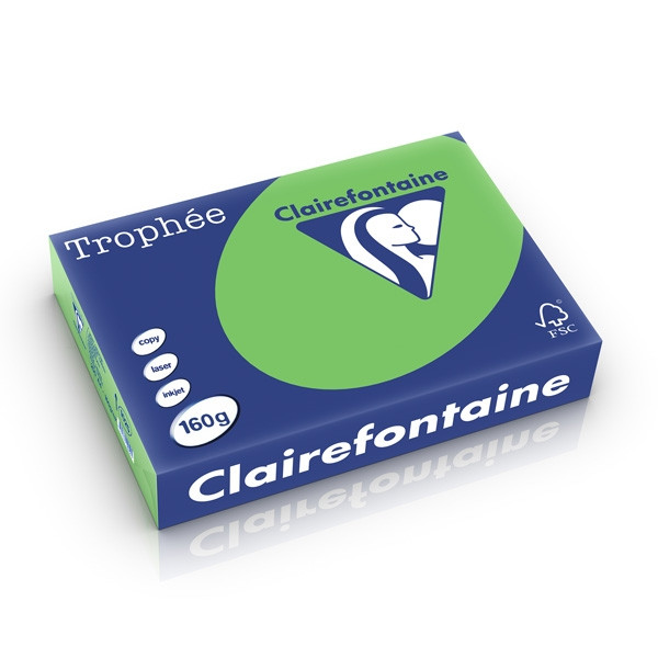 Clairefontaine papier couleur 160 g/m² A4 (250 feuilles) - vert menthe 1025PC 250264 - 1
