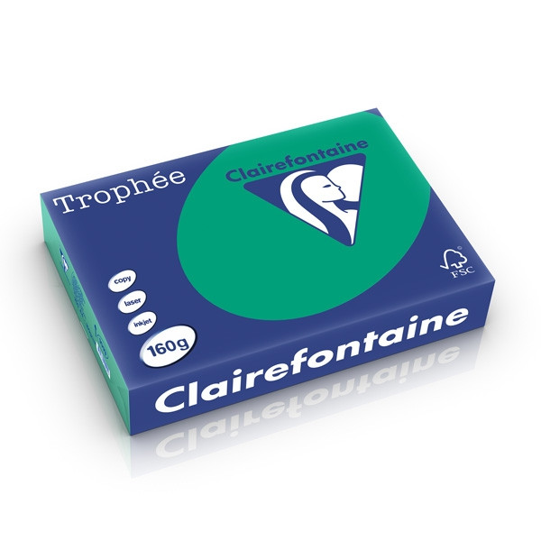 Clairefontaine papier couleur 160 g/m² A4 (250 feuilles) - vert sapin 1019PC 250266 - 1