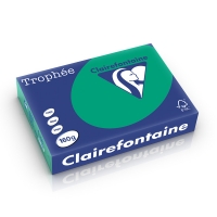 Clairefontaine papier couleur 160 g/m² A4 (250 feuilles) - vert sapin 1019PC 250266