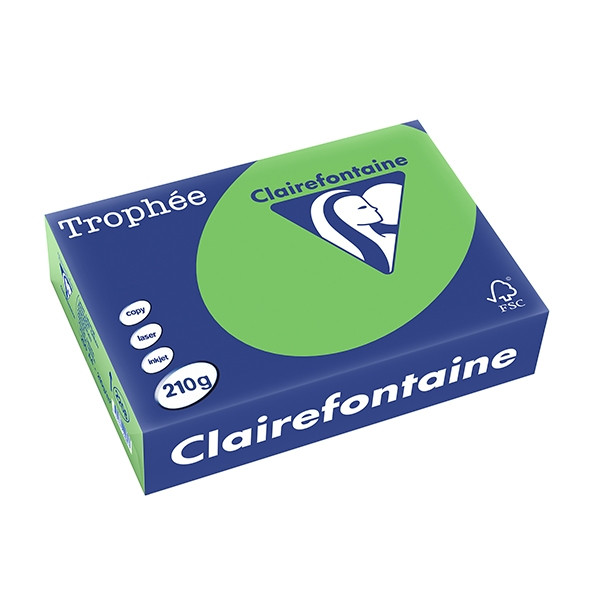 Clairefontaine papier couleur 210 g/m² A4 (250 feuilles) - vert menthe 2208PC 250103 - 1