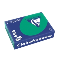 Clairefontaine papier couleur 210 g/m² A4 (250 feuilles) - vert sapin 2213PC 250105