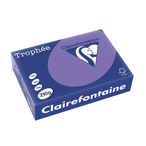 Clairefontaine papier couleur 210 g/m² A4 (250 feuilles) - violine 2214PC 250100 - 1