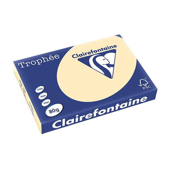Clairefontaine papier couleur 80 g/m² A3 (500 feuilles) - chamois 1253PC 250108 - 1