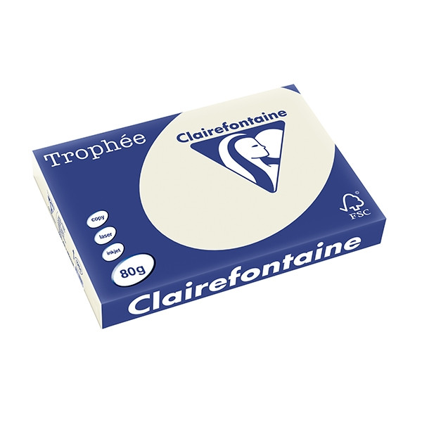 Clairefontaine papier couleur 80 g/m² A3 (500 feuilles) - gris perle 1251PC 250106 - 1
