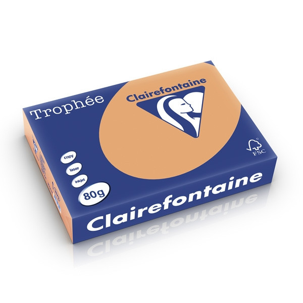Clairefontaine papier couleur 80 g/m² A4 (500 feuilles) - caramel 1879PC 250162 - 1