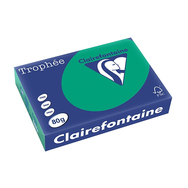 Clairefontaine papier couleur 80 g/m² A4 (500 feuilles) - vert sapin 1783PC 250062 - 1