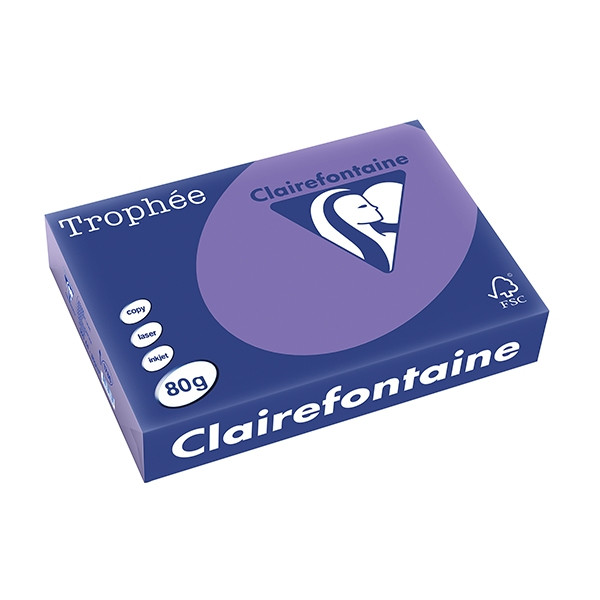 Clairefontaine papier couleur 80 g/m² A4 (500 feuilles) - violine 1786PC 250058 - 1