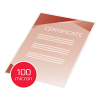 GBC pochette de plastification pour document A4 brillante 2x100 microns (100 pièces) 3740306 207002 - 4