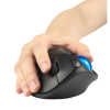 Kensington Pro Fit EQ souris trackball sans fil K72194WW 230177 - 7