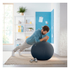 Leitz Ergo Cosy Active ballon d'assise 65 cm - gris 52790089 227591 - 4