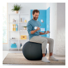 Leitz Ergo Cosy Active ballon d'assise 65 cm - gris 52790089 227591 - 5