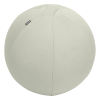 Leitz Ergo ballon d'assise active 55 cm - gris clair 65410085 227623 - 1