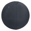 Leitz Ergo ballon d'assise active 55 cm - gris foncé 65410089 227624 - 1