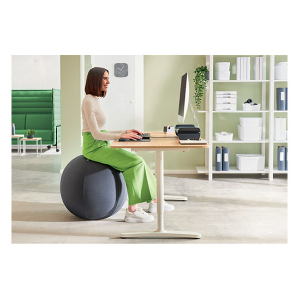 Leitz Ergo ballon d'assise active 55 cm - gris foncé 65410089 227624 - 5