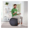 Leitz Ergo ballon d'assise active 65 cm - gris foncé 65420089 227626 - 4