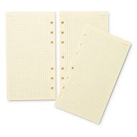 Succes Standard papier à notes quadrillé 100 feuilles XT5C 262210
