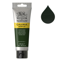 Winsor & Newton Galeria peinture acrylique (120 ml) - 311 vert de hooker 2131311 410138