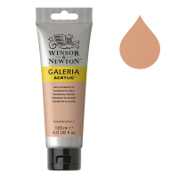 Winsor & Newton Galeria peinture acrylique (120 ml) - 437 terracotta pâle 2131437 410149