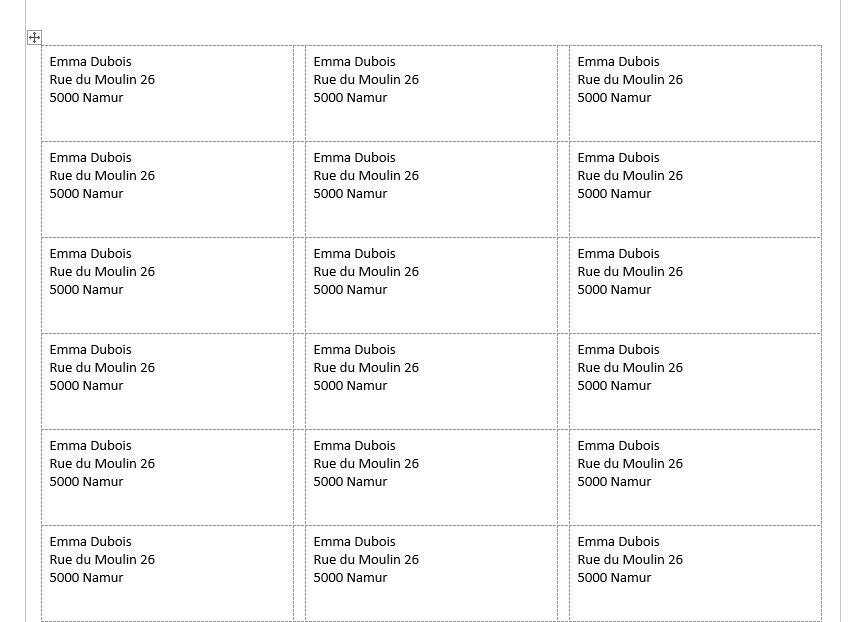 Screenshot van negen etiketten met dezelfde adresgegevens in Word